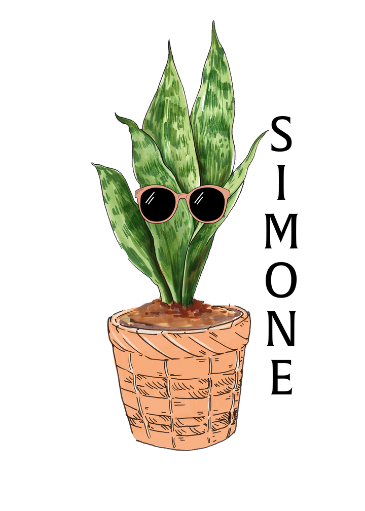 Time Lapse Digital Drawing - How to draw Snake Plant - YouTube